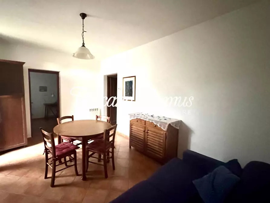 Immagine 5 di Appartamento in vendita  a Sovicille