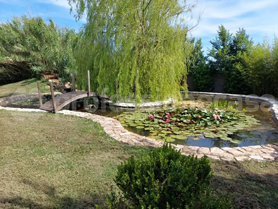 Immagine 5 di Rustico / casale in vendita  a Cascina