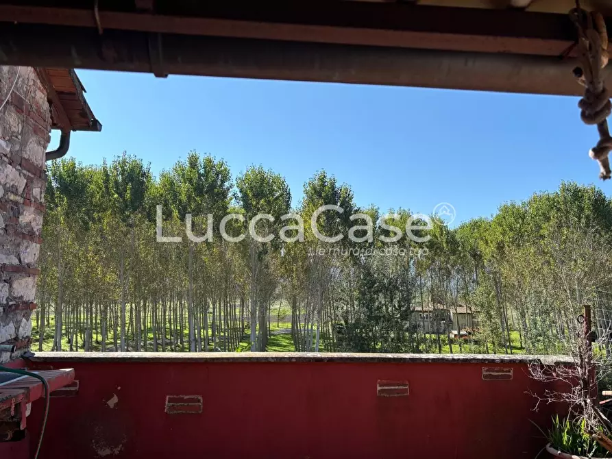 Immagine 36 di Casa indipendente in vendita  a Lucca