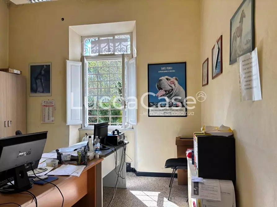 Immagine 72 di Casa indipendente in vendita  a Lucca