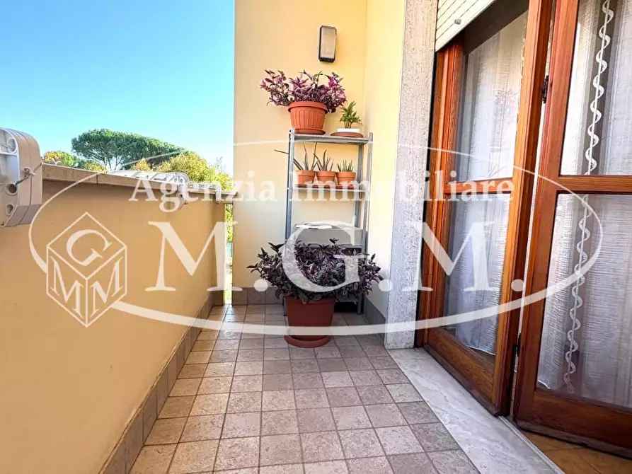 Immagine 3 di Appartamento in vendita  a Pontedera