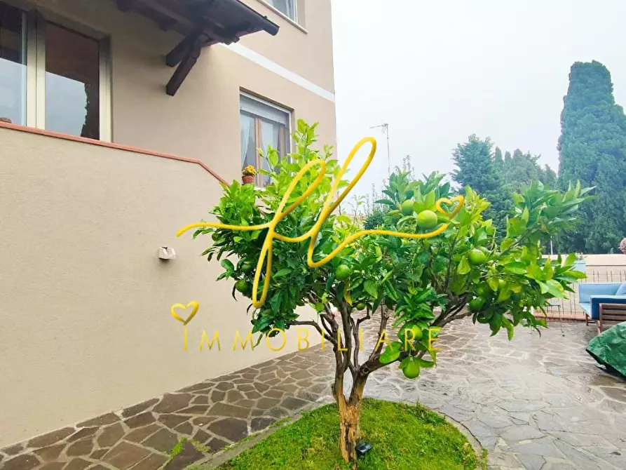 Immagine 51 di Appartamento in vendita  a Rosignano Marittimo