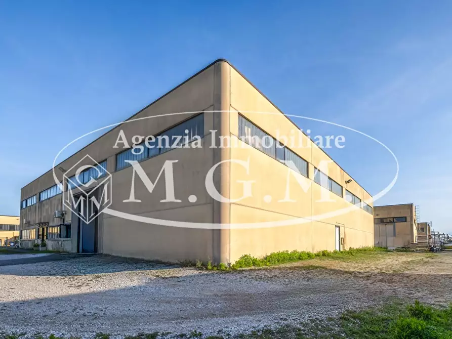 Immagine 12 di Attività artigianale in vendita  a Vicopisano