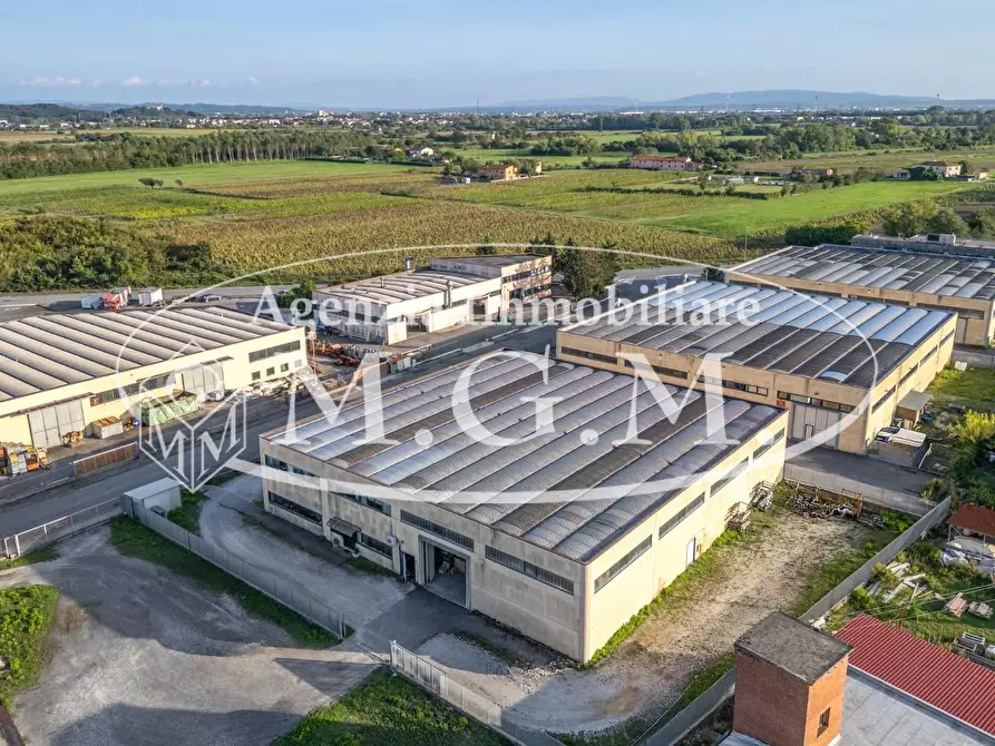 Immagine 8 di Attività artigianale in vendita  a Vicopisano