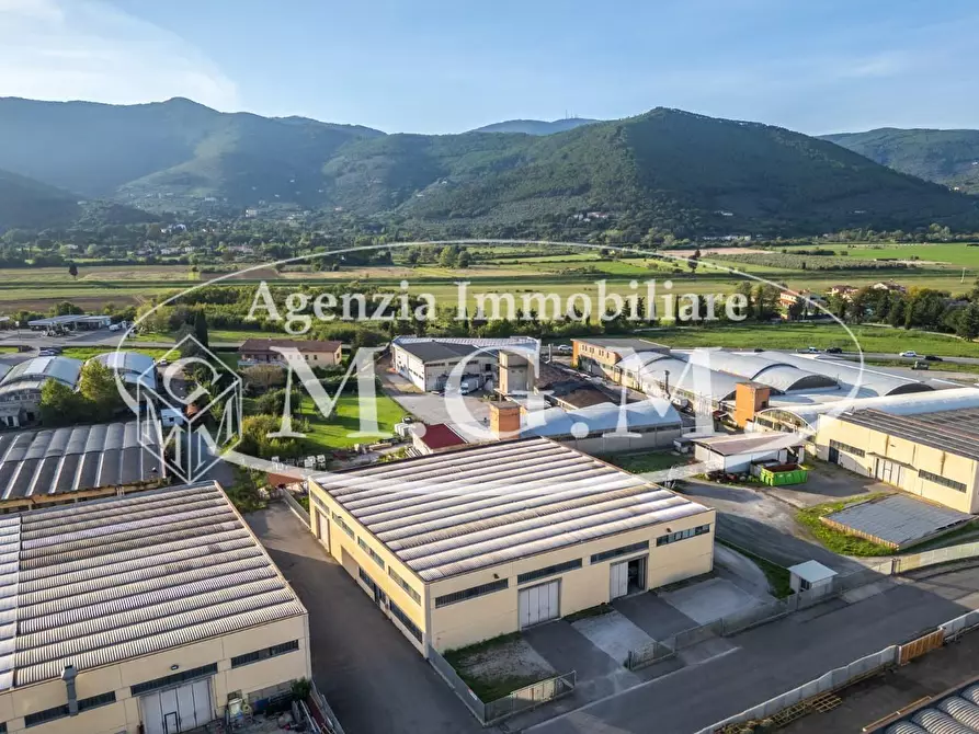 Immagine 26 di Attività artigianale in vendita  a Vicopisano