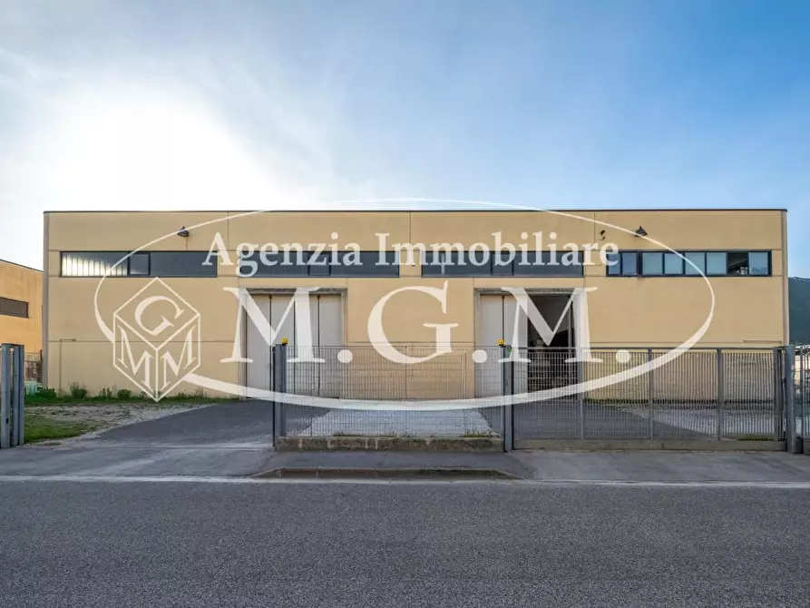 Immagine 5 di Attività artigianale in vendita  a Vicopisano