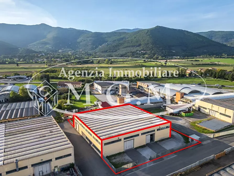 Immagine 1 di Attività artigianale in vendita  a Vicopisano