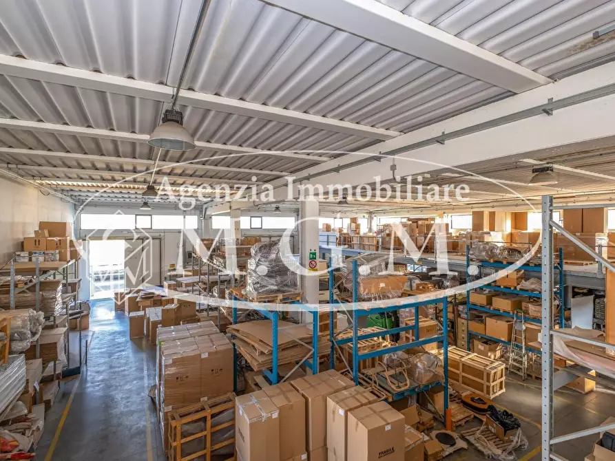 Immagine 23 di Attività artigianale in vendita  a Vicopisano