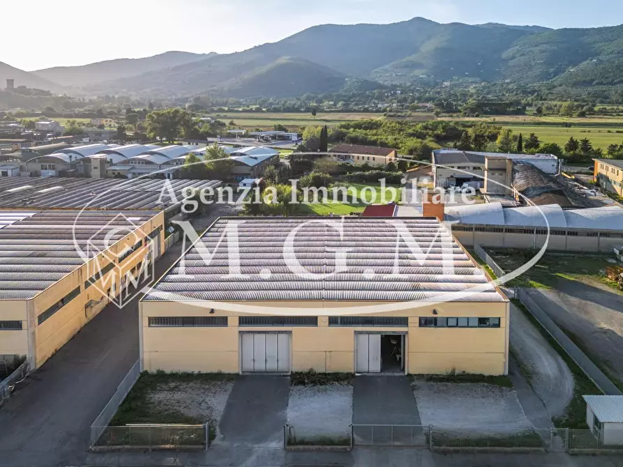 Immagine 6 di Attività artigianale in vendita  a Vicopisano