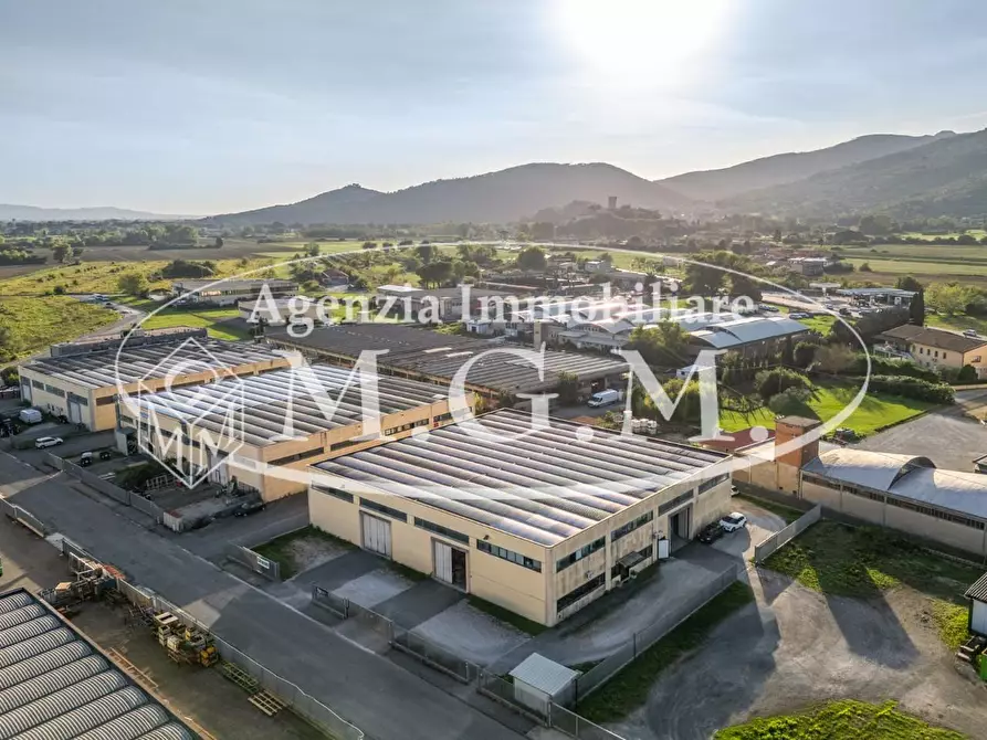 Immagine 9 di Attività artigianale in vendita  a Vicopisano