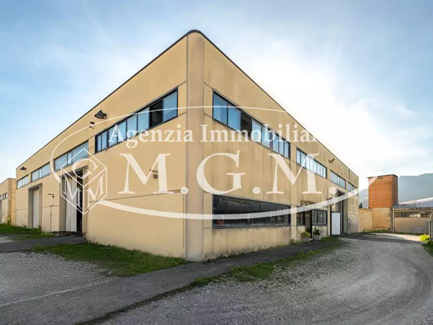 Immagine 11 di Attività artigianale in vendita  a Vicopisano