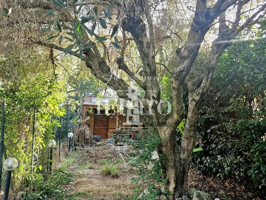 Immagine 35 di Appartamento in vendita  a Prato