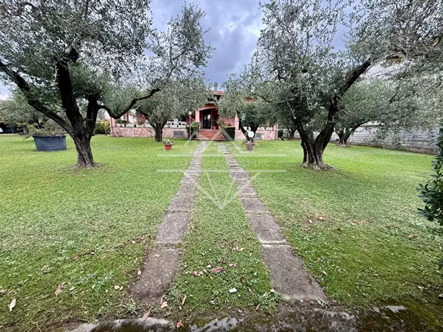 Immagine 27 di Villa in vendita  a Carrara