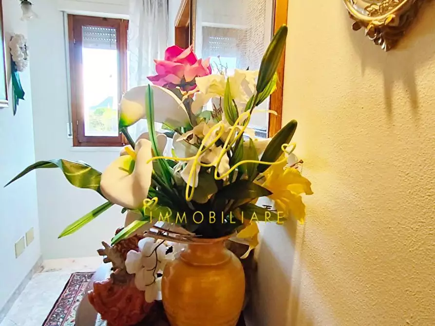 Immagine 22 di Terratetto in vendita  a Cecina