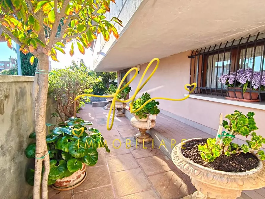 Immagine 39 di Terratetto in vendita  a Cecina