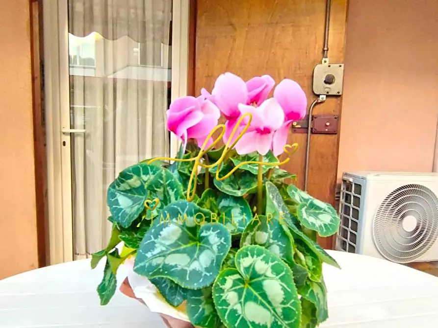 Immagine 38 di Terratetto in vendita  a Cecina