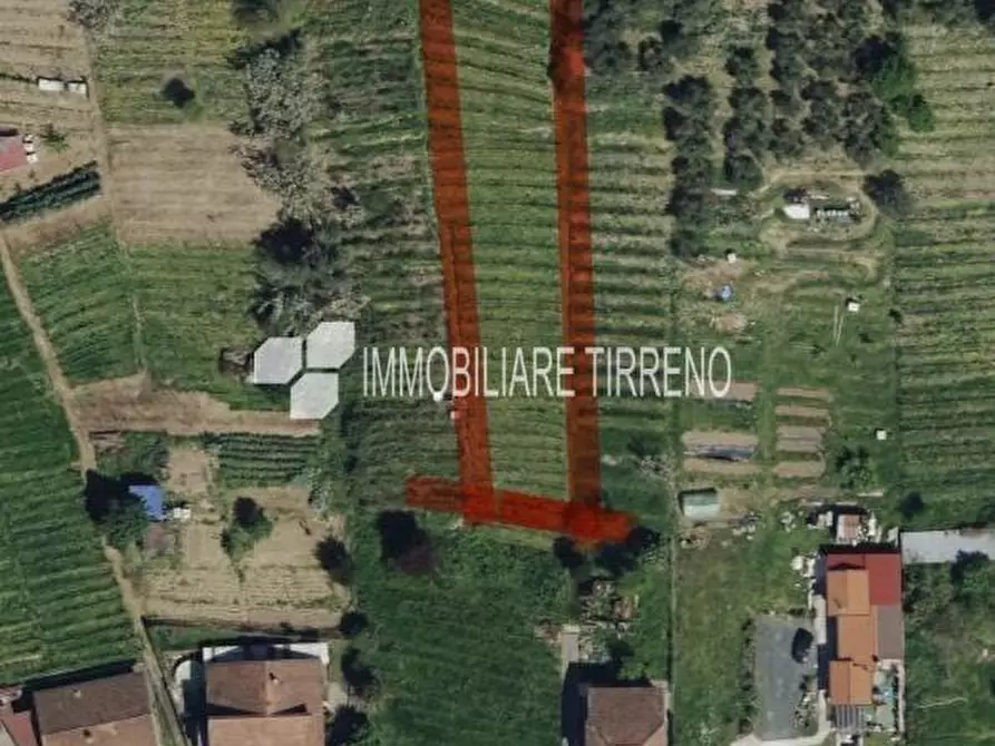 Immagine 1 di Terreno agricolo in vendita  a Massa