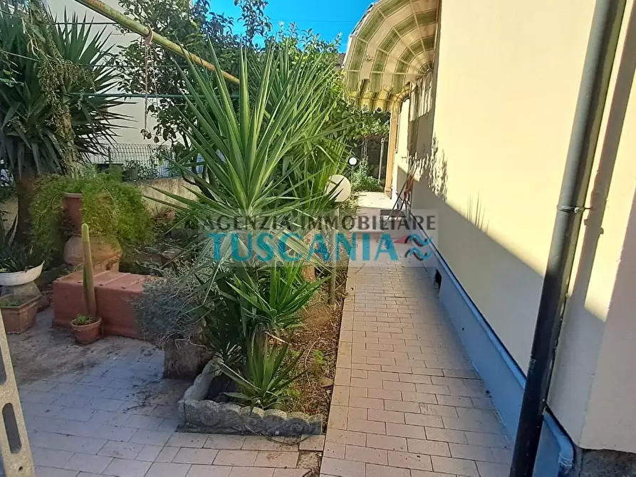 Immagine 3 di Villa in vendita  a Cecina
