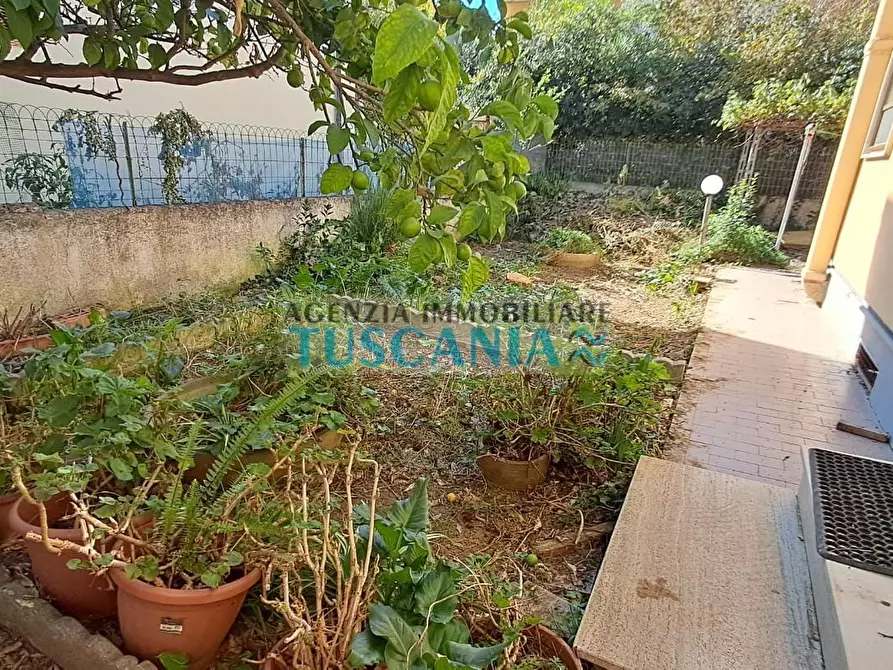 Immagine 5 di Villa in vendita  a Cecina