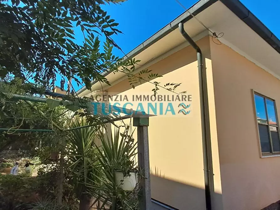 Immagine 2 di Villa in vendita  a Cecina