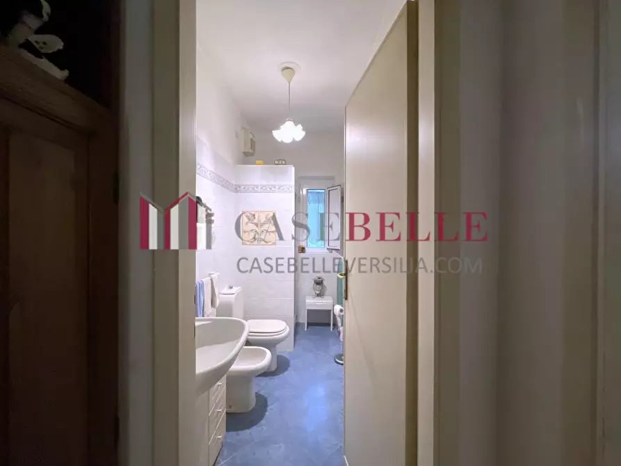 Immagine 22 di Terratetto in vendita  a Camaiore