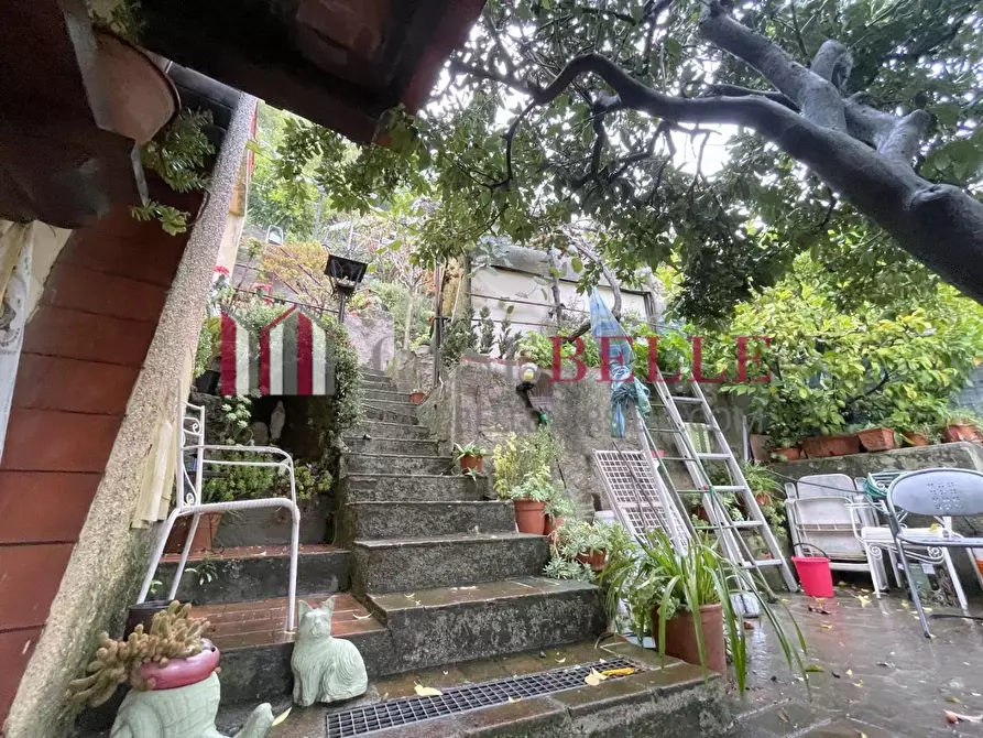 Immagine 29 di Terratetto in vendita  a Camaiore