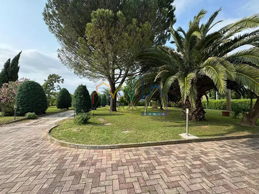 Immagine 1 di Casa bifamiliare in vendita  a San Giuliano Terme