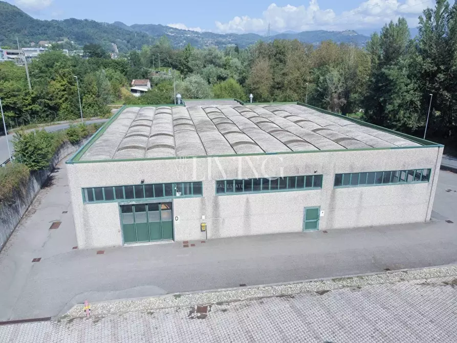 Immagine 6 di Capannone industriale in vendita  a Gallicano