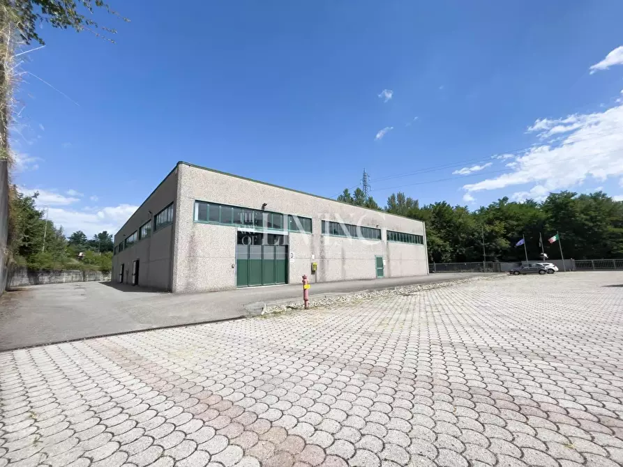 Immagine 11 di Capannone industriale in vendita  a Gallicano