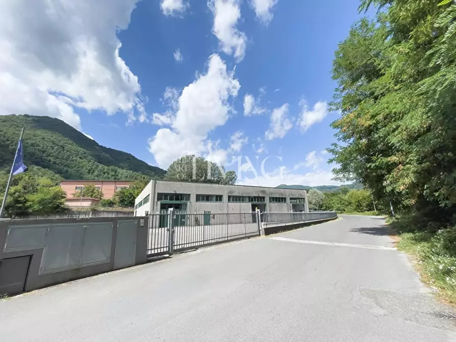 Immagine 13 di Capannone industriale in vendita  a Gallicano