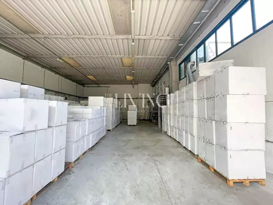 Immagine 8 di Capannone industriale in vendita  a Gallicano