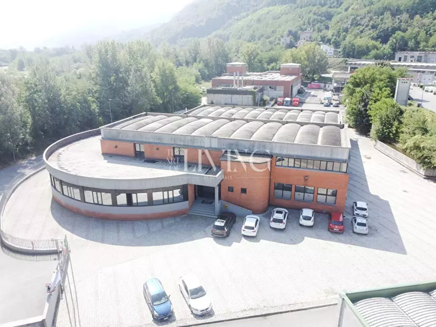 Immagine 1 di Capannone industriale in vendita  a Gallicano