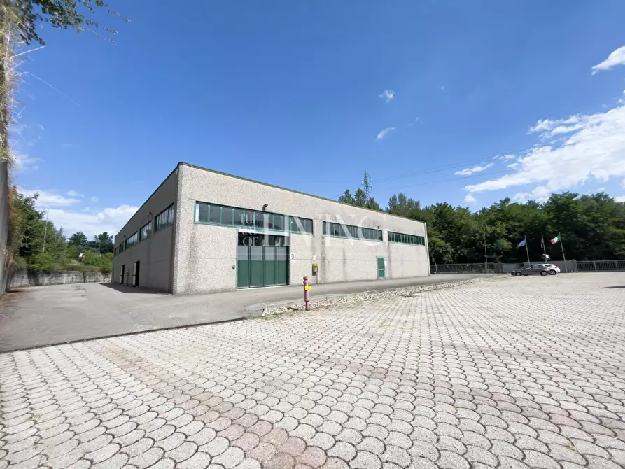 Immagine 7 di Attività artigianale in vendita  a Gallicano