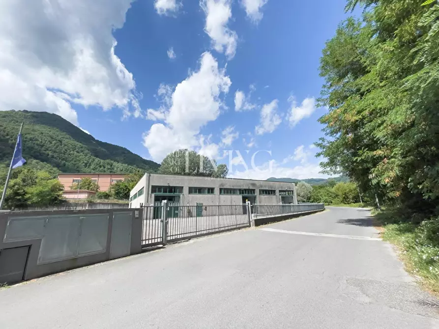 Immagine 8 di Attività artigianale in vendita  a Gallicano