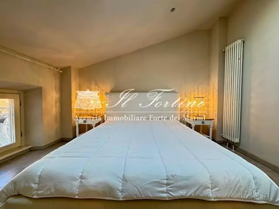 Immagine 22 di Villa in vendita  a Forte Dei Marmi