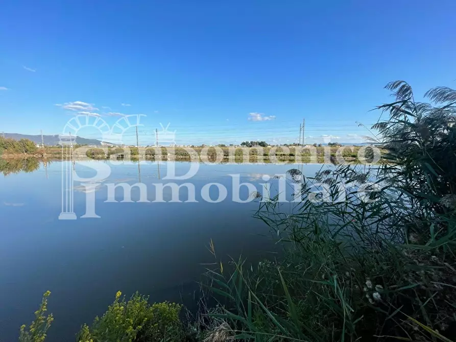 Immagine 2 di Attività commerciale in vendita  a Pisa