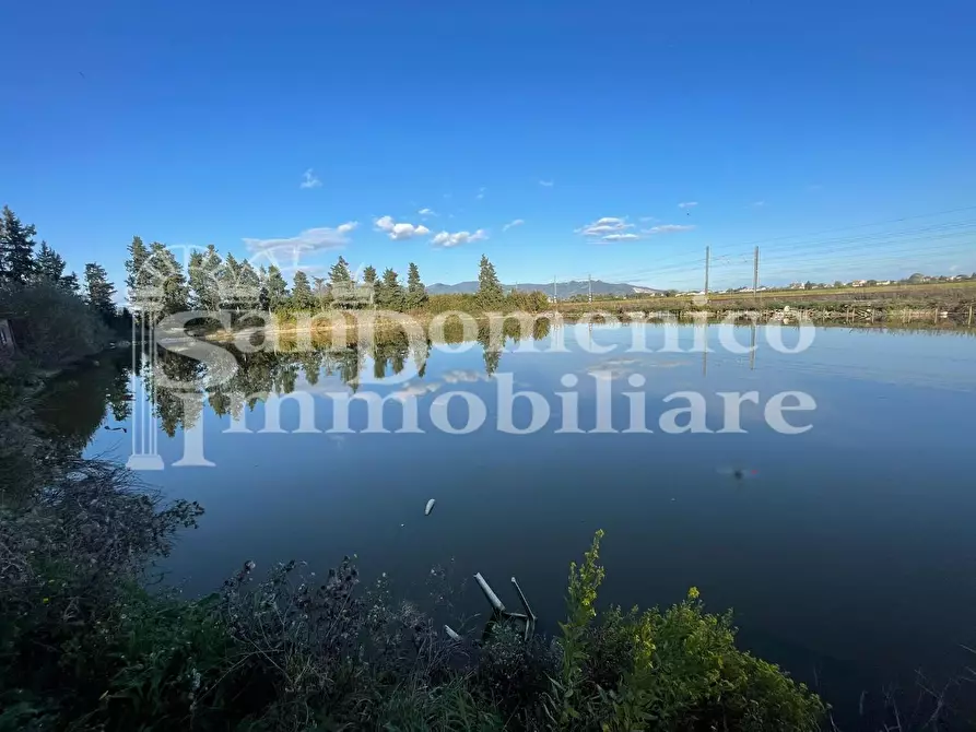 Immagine 4 di Attività commerciale in vendita  a Pisa