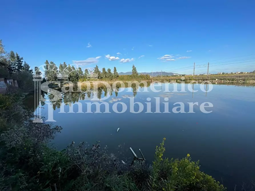 Immagine 1 di Attività commerciale in vendita  a Pisa