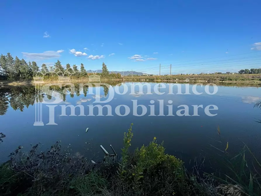 Immagine 3 di Attività commerciale in vendita  a Pisa