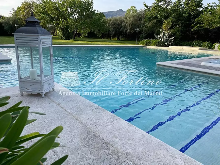 Immagine 31 di Villa in affitto  a Forte Dei Marmi