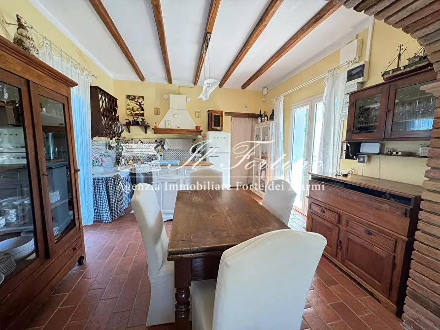 Immagine 14 di Villa in affitto  a Forte Dei Marmi