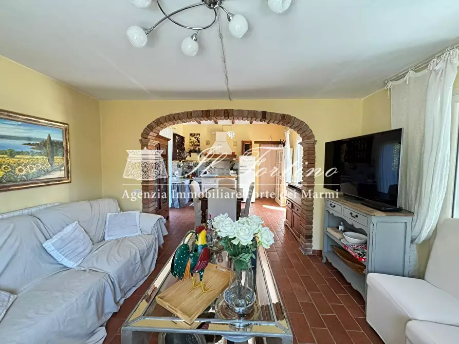 Immagine 9 di Villa in affitto  a Forte Dei Marmi