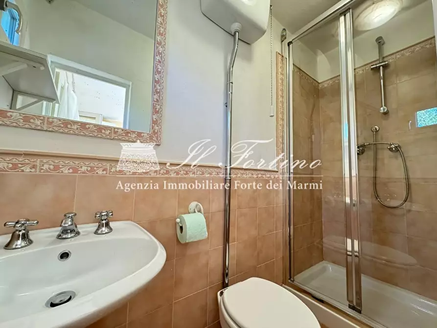 Immagine 29 di Villa in affitto  a Forte Dei Marmi