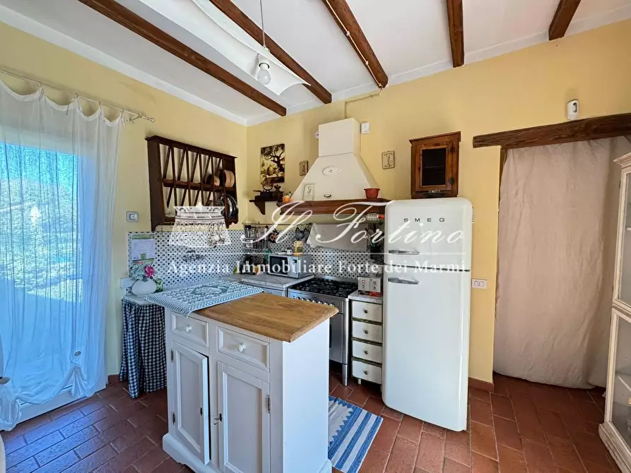 Immagine 13 di Villa in affitto  a Forte Dei Marmi