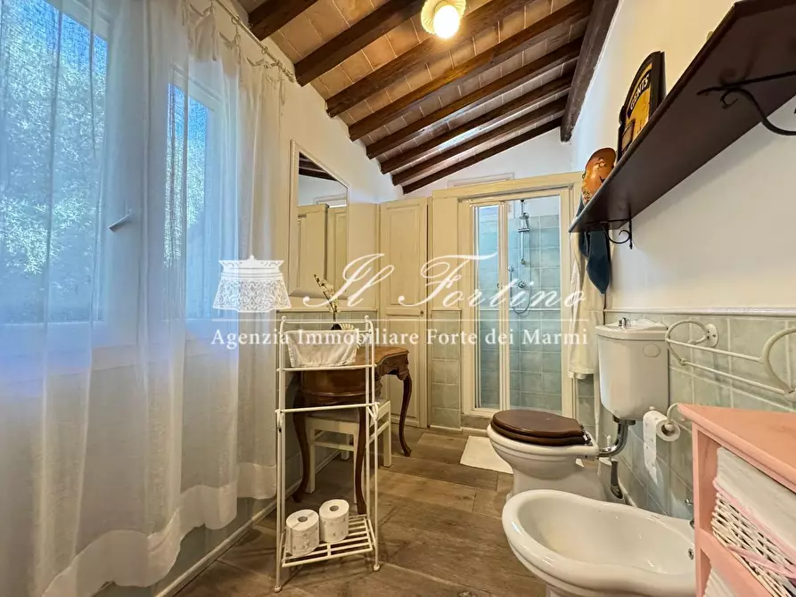 Immagine 25 di Villa in affitto  a Forte Dei Marmi