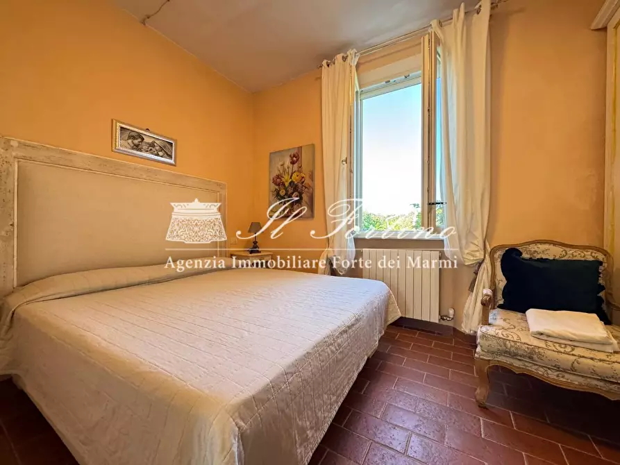 Immagine 28 di Villa in affitto  a Forte Dei Marmi