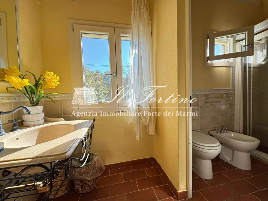 Immagine 22 di Villa in affitto  a Forte Dei Marmi