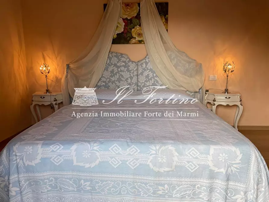 Immagine 23 di Villa in affitto  a Forte Dei Marmi