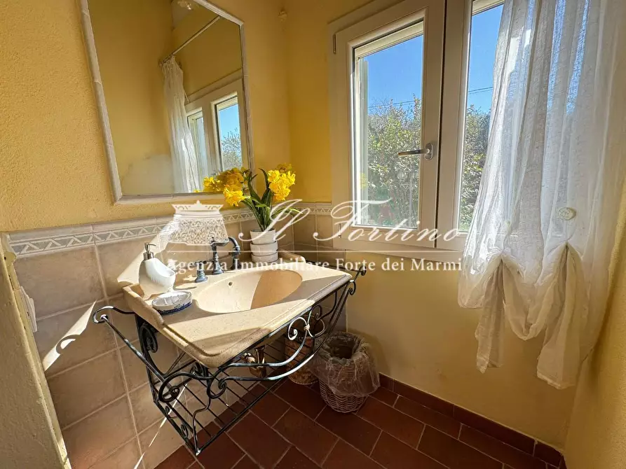 Immagine 21 di Villa in affitto  a Forte Dei Marmi