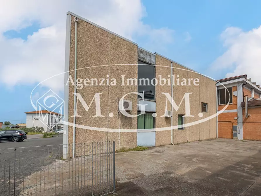 Immagine 10 di Capannone industriale in vendita  a Calcinaia